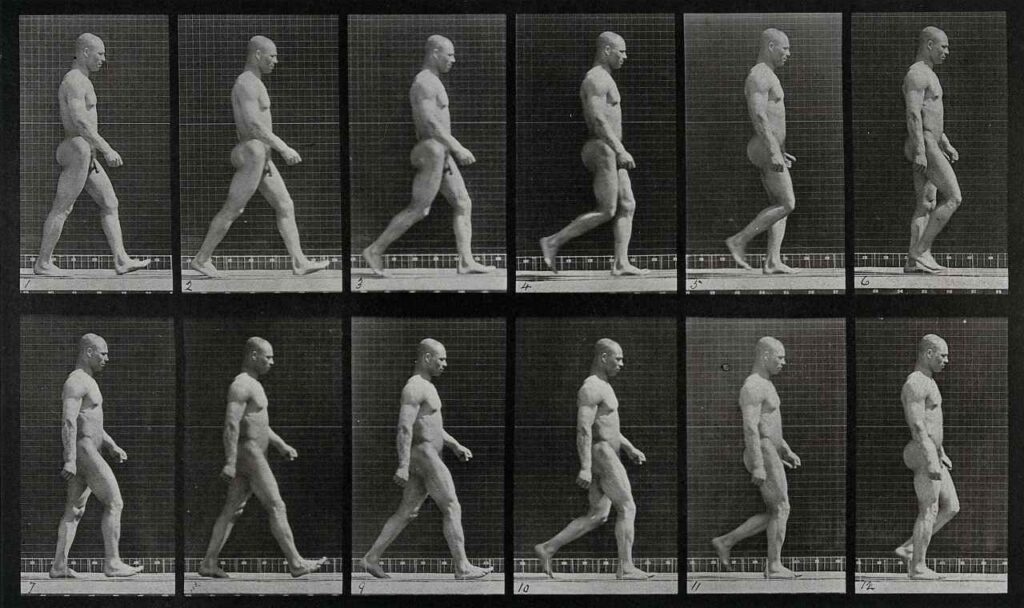 Eadweard Muybridge „A man walking”, fotogravüür, 1887