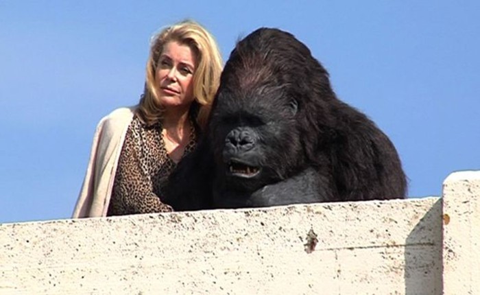 Catherine Deneuve kehastab „Uhiuues testamendis” gorillaga kokku elavat daami. Kaader filmist