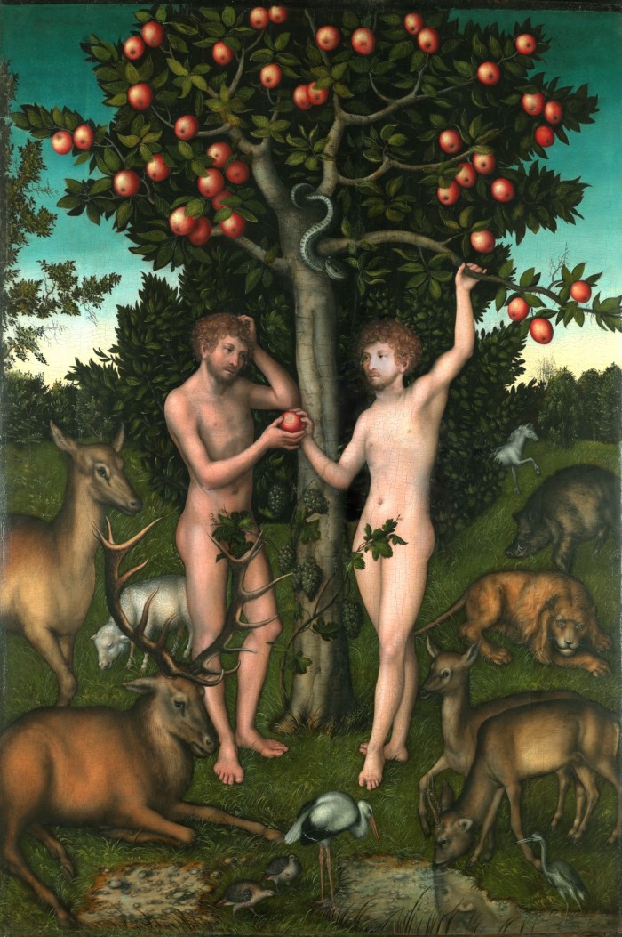 Aadam ja Aadam. Illustratsioon: Lucas Cranach vanem / Patt