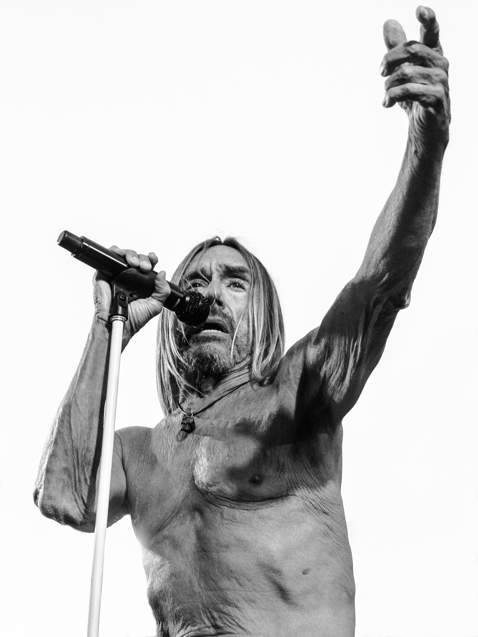 Iggy Pop. Foto: Aaron Rubin / Wikimedia Commons (CC BY-SA 4.0)