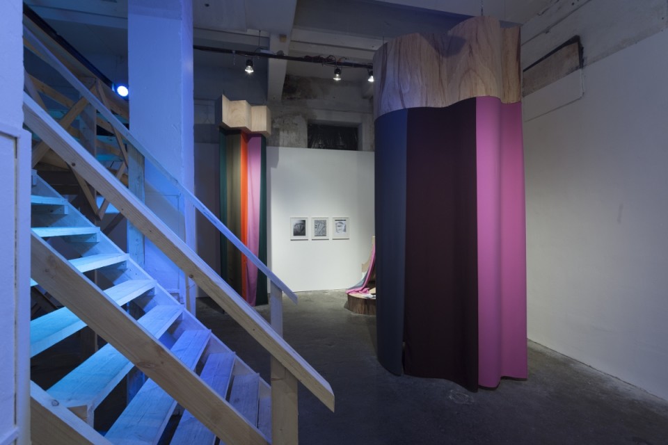 Laura Põld „The Night Your Mate Danced Like a Tree” (2014). Foto: Kristiina Hansen