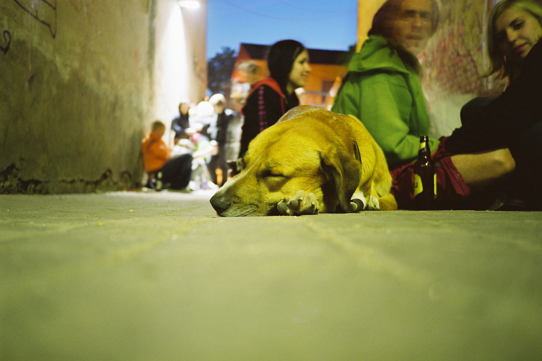 See koer olevat koos hipidega Eestist Hispaaniasse ja tagasi hääletanud. Olgu 2007. aasta suvi (pildil) või 2018. aasta talv – pööraseid lugusid kuuleb Zavoodis alati. Foto: Lauri Kulpsoo  