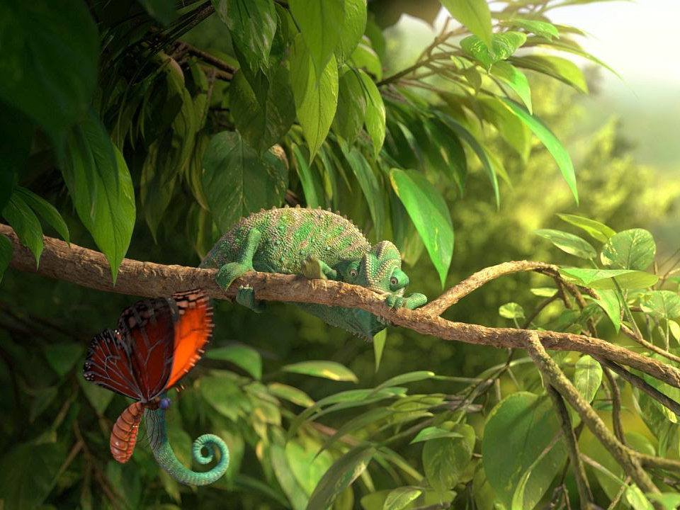 Kaader 19. rahvusvahelise lühifilmifestivali Très Court publiku lemmikfilmist „Meie imeline loodus („Our Wonderful Nature The Common Chameleon“, rež. Tomer Eshed, Saksamaa)