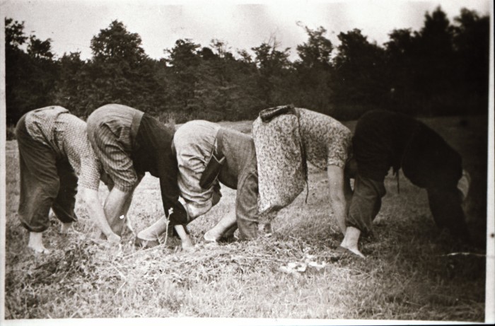 Mis siin pildil toimub? Vastuse leiab Andreas Kalkuni artiklist „Talurahva seksuaalelu mõistatusi”. Foto: Kihelkonna, 1959. Eesti Rahvaluule Arhiiv, foto 16551