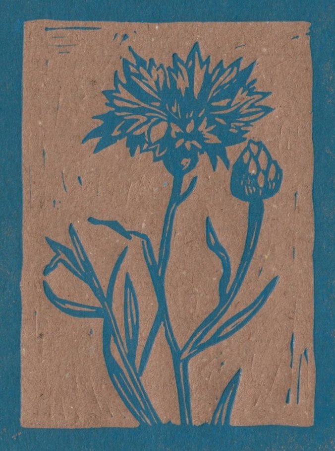 The blue cornflower logo of Villane Raamat by Kristiina Sirkel