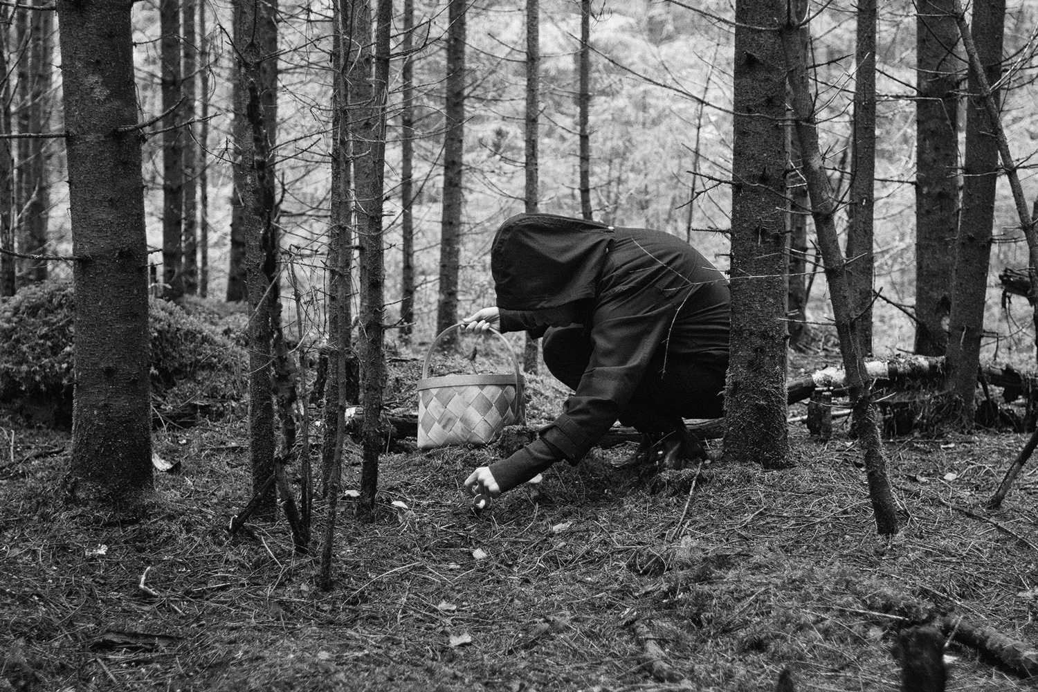 Korilane Pähni metsas seenel. Fotod: Jaak Kaevats