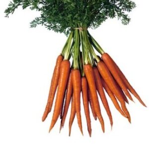 Abiks noorele teatrikriitikule: kriitikublankett