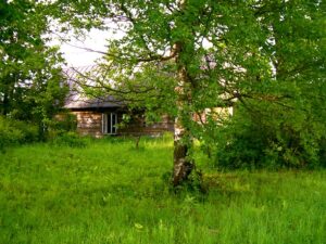 Suvine sääsepirin algab Soomaal kontserdiga