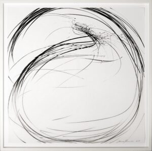 Jaanika Peerna ja Tuuli Manni „Metsahäälte vaikus” galeriis Haus