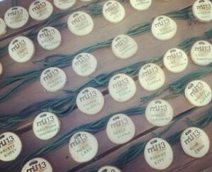 Algas registreerimine Metsaülikooli