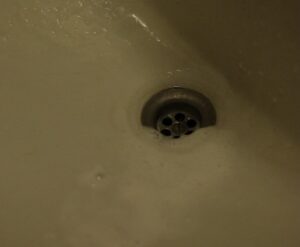 Otsides ellujäämisvõimalusi