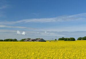 Programm „Tagasi kodukohta” toetab kohalikku elu edendavaid algatusi
