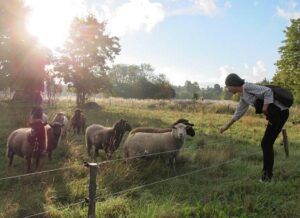 Näitus „Eesti saladused” Tarbekunsti- ja Disainimuuseumis