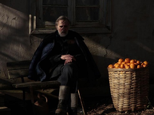 Eesti esitab Oscaritele filmi „Mandariinid”