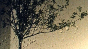 European film forum “Scanorama” in Lithuania