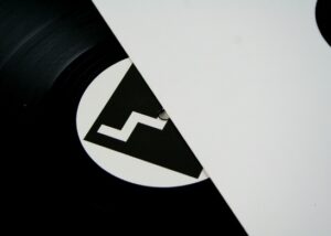 Video fookuses: Ajukaja & Andrevski &ndash; &bdquo;Rare Birds&rdquo;