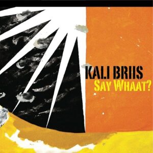 Plaadiarvustus: Kali Briis &ndash; Say Whaat? (Eesti Pops, 2013)