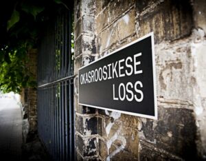 Okasroosikese Lossis etendub inimkeha ja masinad ühendav tehnomuusikal