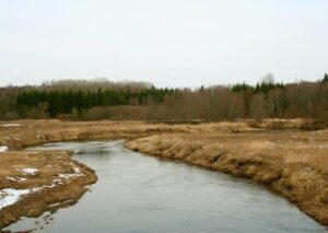 „Eesti loodus: Alam-Pedja” tõi autor Remek Meelele taas parima operaatori preemia
