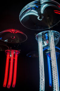 Behavioural formation – time, latency and uncertainty