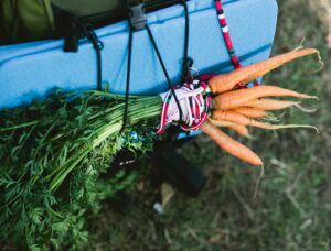 Kahvliahvi kokakool seab Soomaale üles metsakohviku