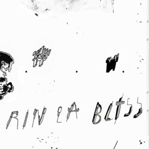 Plaadiarvustus: rin la – bliss (Trash Can Dance, 2014)