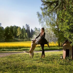 Plaadiarvustus: Vaiko Eplik &ndash; Nelgid (Mortimer Snerd, 2014)