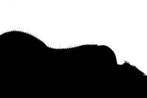 Täna avatakse Hobusepea galeriis rahvusvaheline näituseprojekt „The Homunculus Collection”