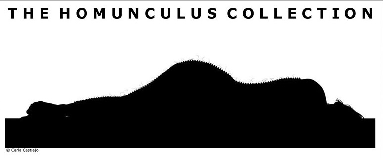 Visuaal: Carla Castiajo