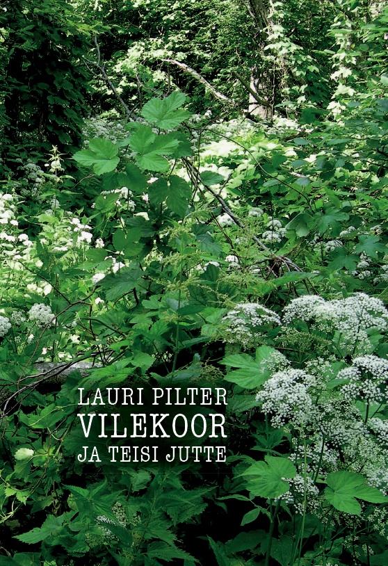 Lüürilised katked ääremaa kütkeist