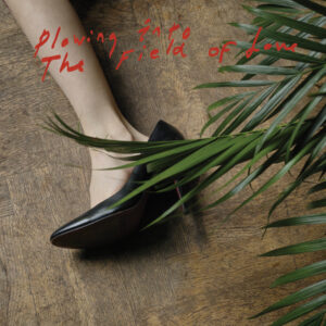 Plaadiarvustus: Iceage – Plowing Into the Field of Love (Matador, 2014)