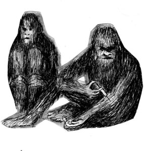 H&auml;iriva heli anarhia