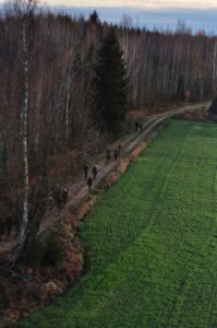 Mikroplahvatused Peramaa perifeerias