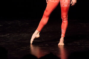 Elav inimene täiusele orienteeritud tantsijanahas