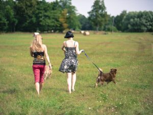 Anna hoogu: raamat loomaõiguslusest