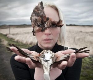 Islandi öödel tutvustatakse saare kultuuri