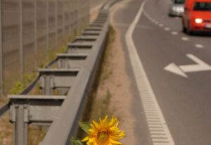 Aasristmikul põkkusid autod, kaks