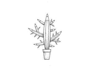 Kaktus täidab tühja koha