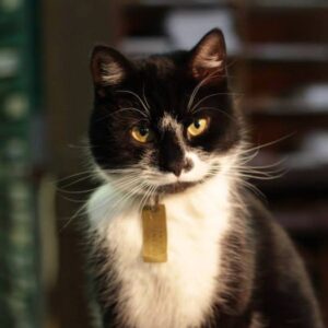 Muuseumidisko kutsub Aparaaditehasesse