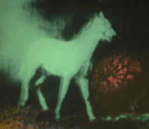 Tartu Uues Teatris esietendub neljapäeval Renate Keerdi lavastus „Põletatud väljade hurmaa”