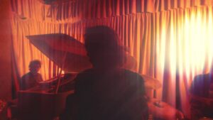 Video fookuses: Zebra Island – „Jewels”