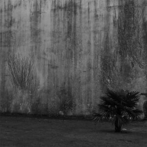 Lilli-Krõõt Repnau avab Draakoni galeriis isikunäituse „Kahevahel”