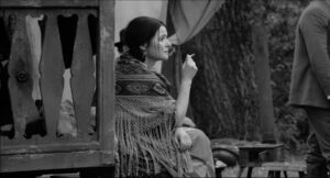 V&otilde;&otilde;ras omade seas