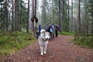 Lausumisi laugaste vahelt
