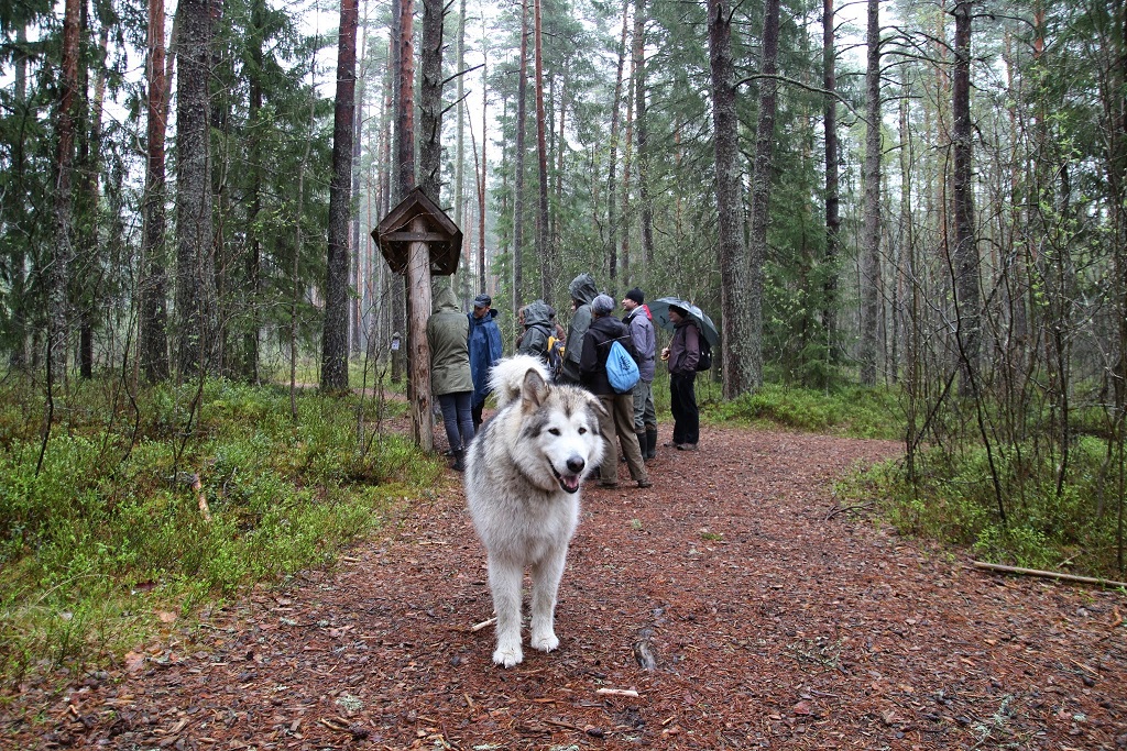 Lausumisi laugaste vahelt