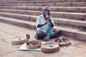 Meele- ja kultuuri(r)evolutsioon paneb südame kiiremini põksuma