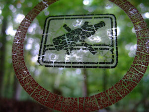 Kaine september. Nädal kaks pluss veel natuke. Tähelepanekuid.