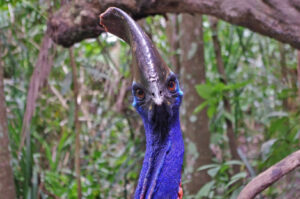 Linnast merepõhjas Aafrika Metsiku Lääneni ehk eile algas Matsalu loodusfilmide festival