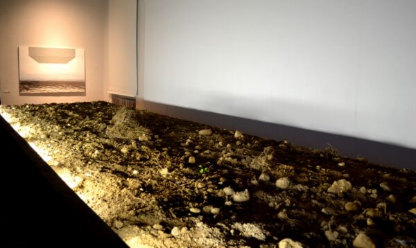 Transgressiivne kartulip&otilde;ld