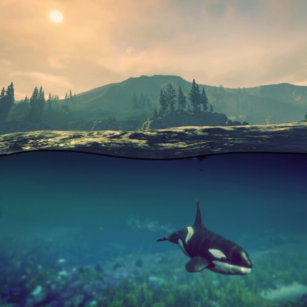 Fotokuu tutvustab prosuumereid ja 90ndate Balti fotokunsti